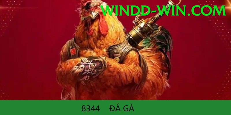 Đá Gà Trực Tiếp - windd