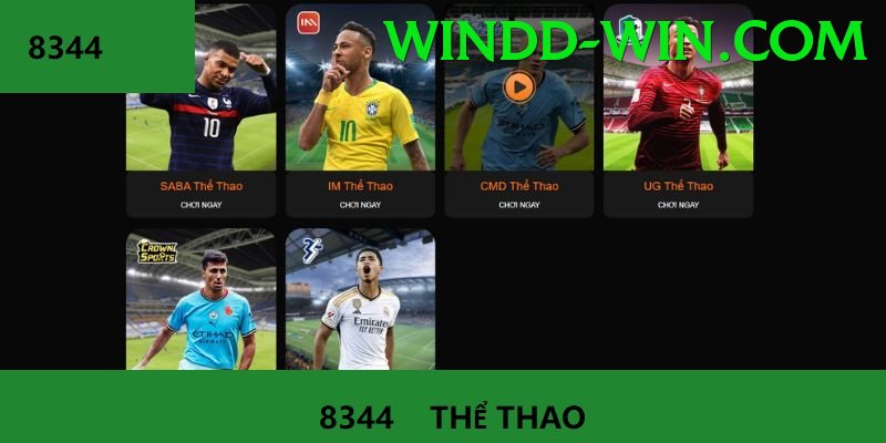 Cá Cược Thể Thao - windd